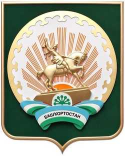 Кубок России по мини-лапте в Уфе
